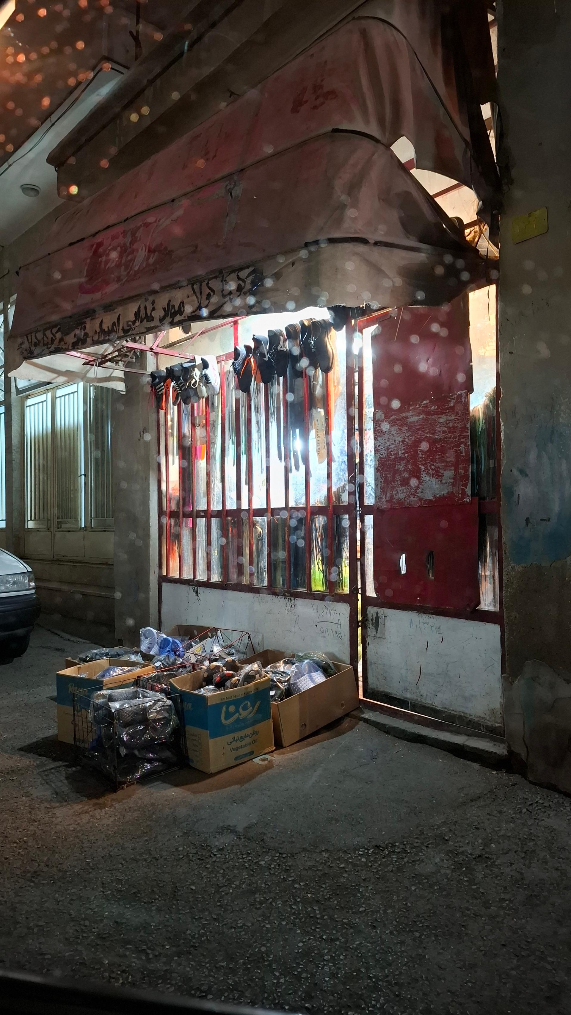 عکس کفاشی باغبان 