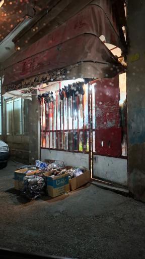 عکس کفاشی باغبان 