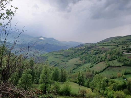 عکس پارک ساحلی سعیدآباد