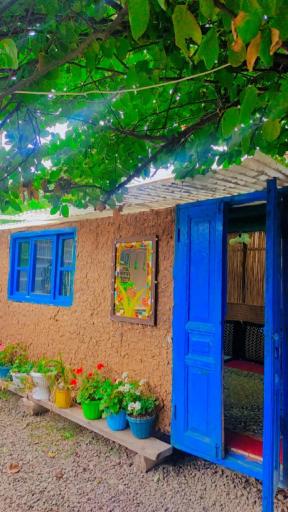 عکس کافه چرخ