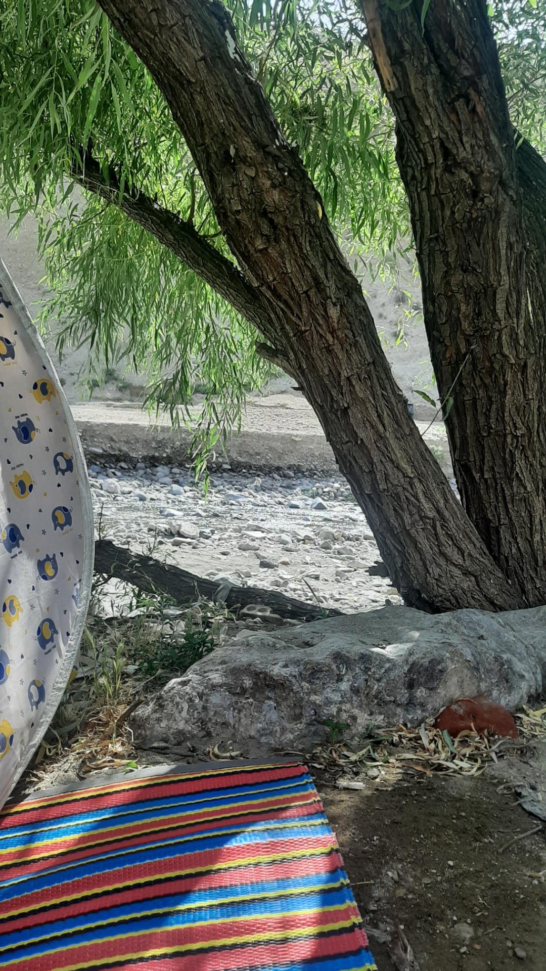 عکس پارک ساحلی سعیدآباد