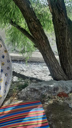 عکس پارک ساحلی سعیدآباد