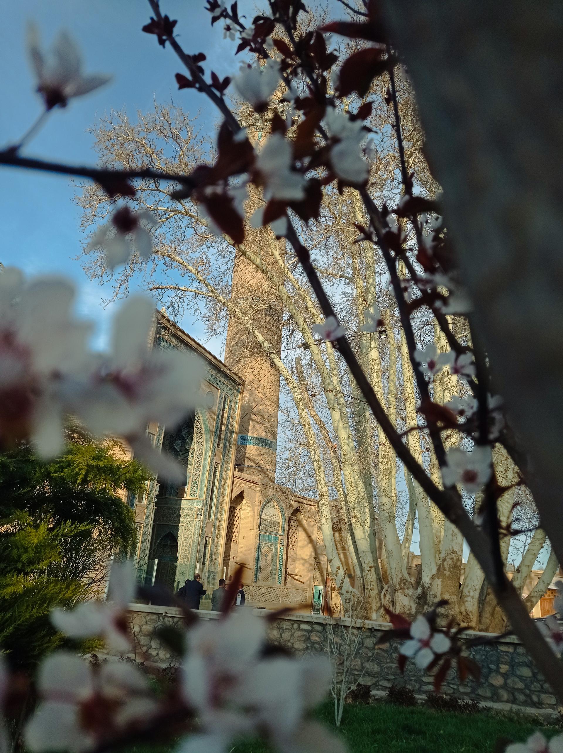 عکس پارک مسجد جامع