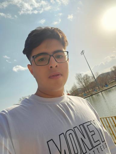 عکس پارک و استراحتگاه رزن 