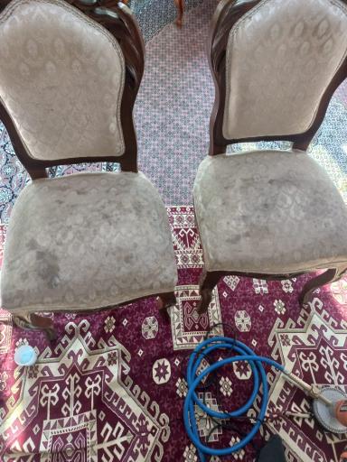 عکس قالیشویی و مبل شویی امیران