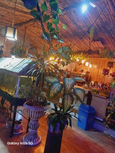 عکس کافه پیمان