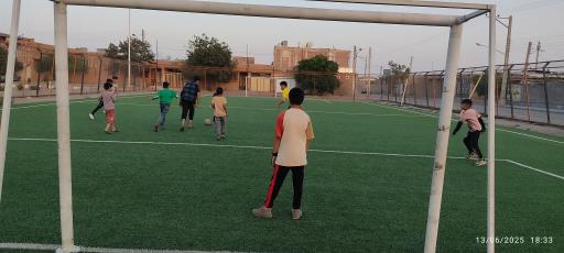 عکس زمین چمن مصنوعی لاله