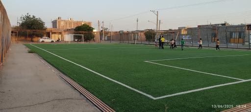 عکس زمین چمن مصنوعی لاله