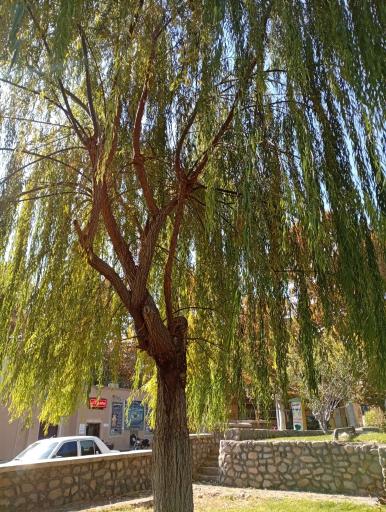 عکس پارک مسجد جامع