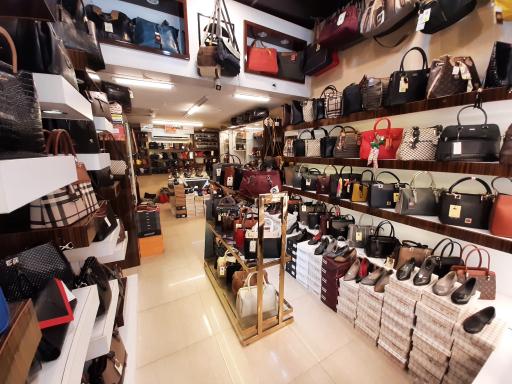 عکس کیف و کفش کژال