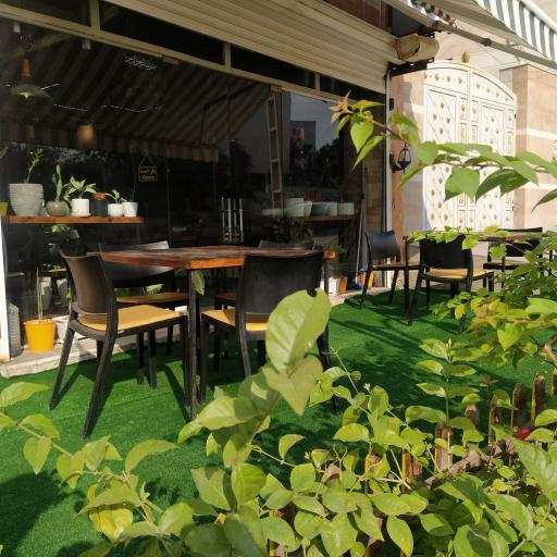 عکس قهوه آریان 