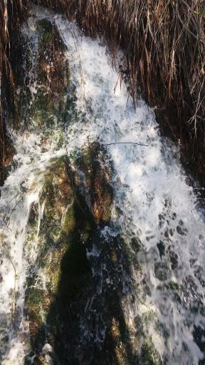 عکس چشمه درازلش