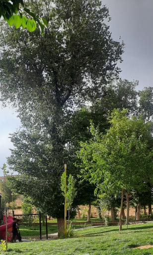 عکس پارک آبشار