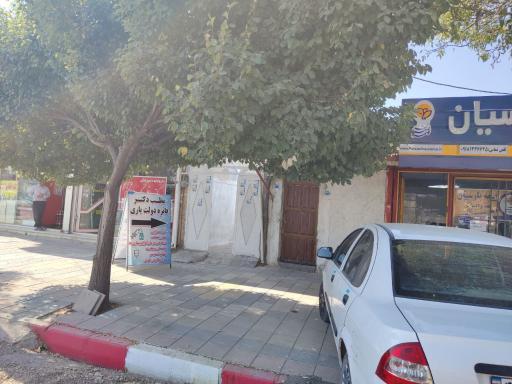 عکس دکتر دولت یاری