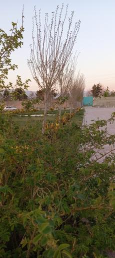 عکس پارک آب و شن