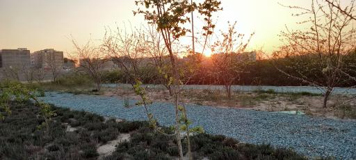 عکس پارک آب و شن