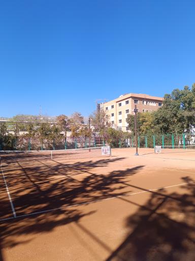 عکس آکادمی تنیس سرو