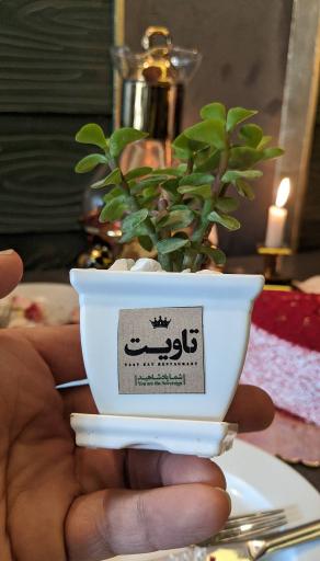 عکس رستوران بین المللی تاویت