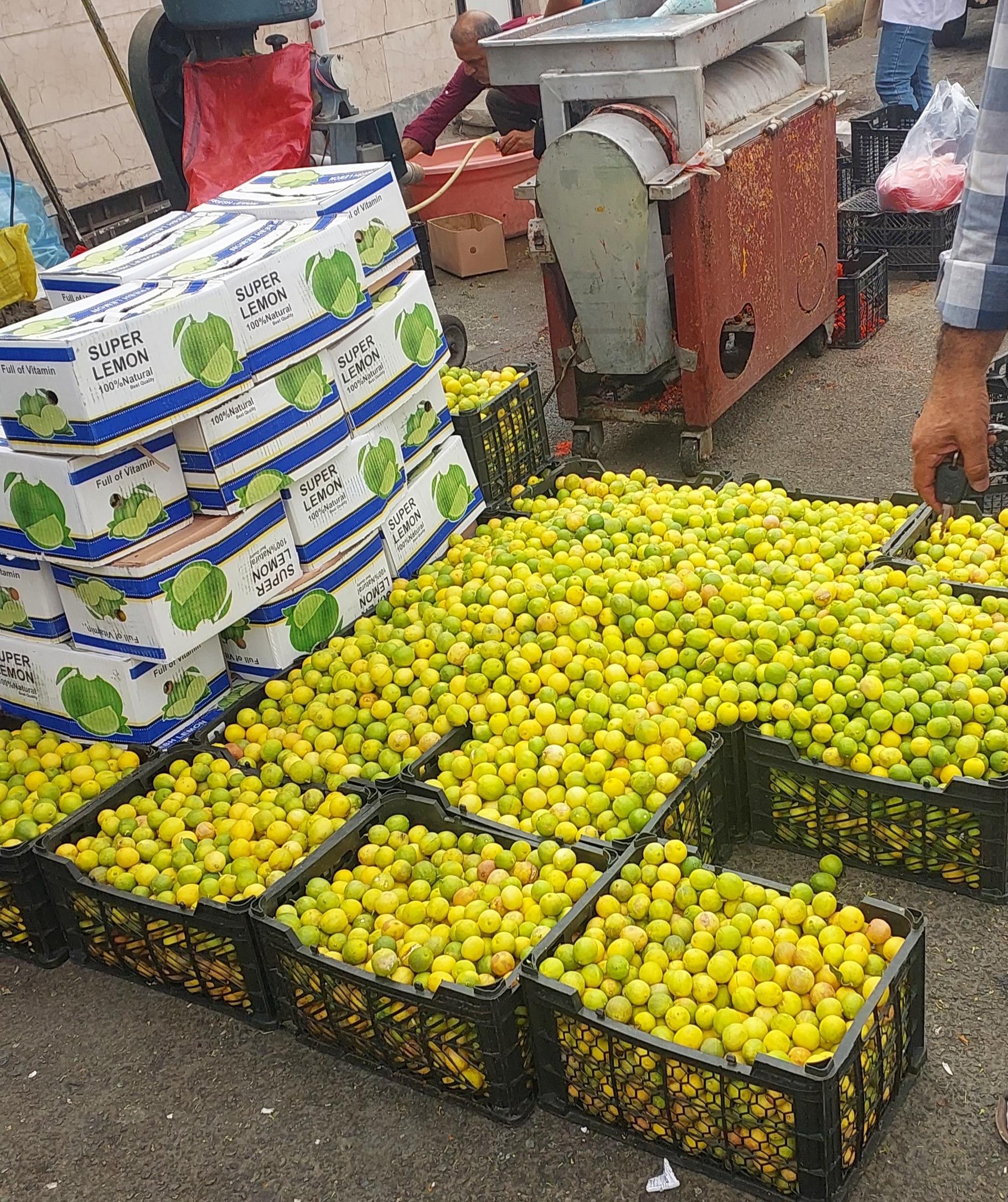 عکس میوه فروشی عمو کمال