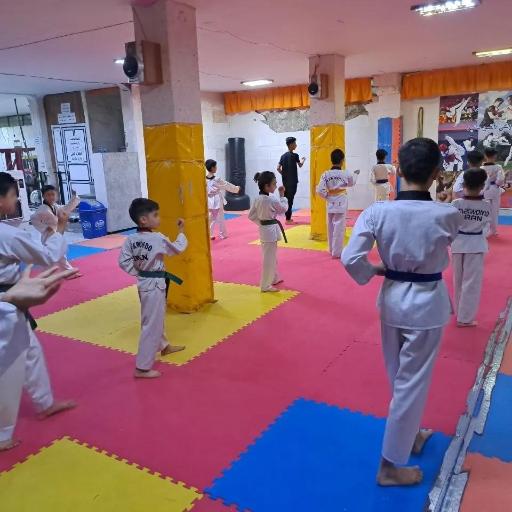 عکس باشگاه ورزشی دلفین سفید