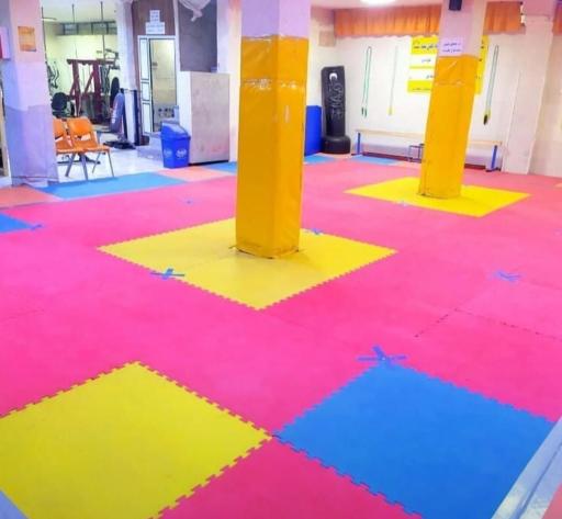 عکس باشگاه ورزشی دلفین سفید