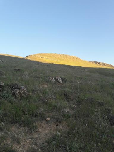 عکس موشان دره