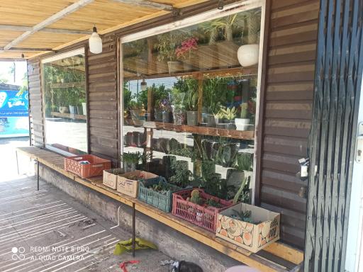 عکس گل فروشی دانژه