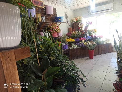 عکس گل فروشی دانژه