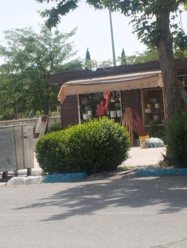 عکس گل فروشی دانژه