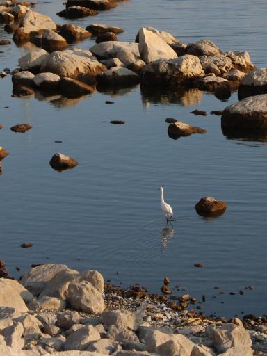 عکس منطقه نمونه گردشگری شورابیل
