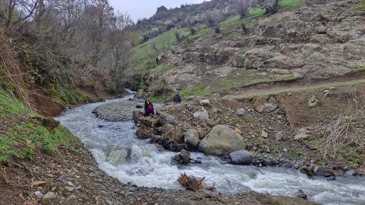 عکس تالش
