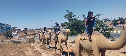 عکس کاروانسرای شاه عباسی قدمگاه