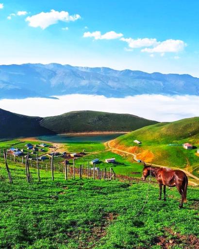 عکس تالش