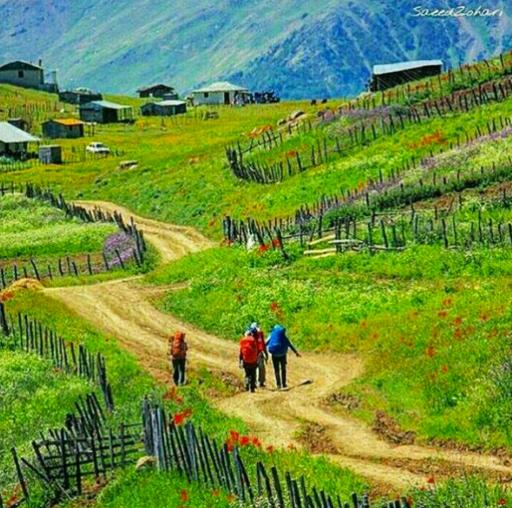 عکس تالش