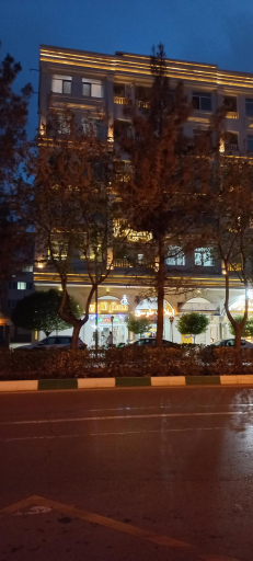 عکس  الهیه 31