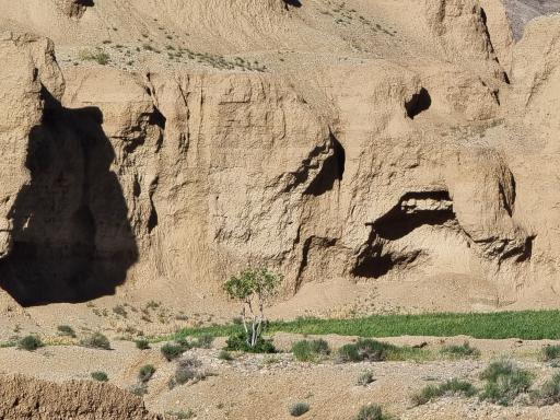 عکس قصر بهرام