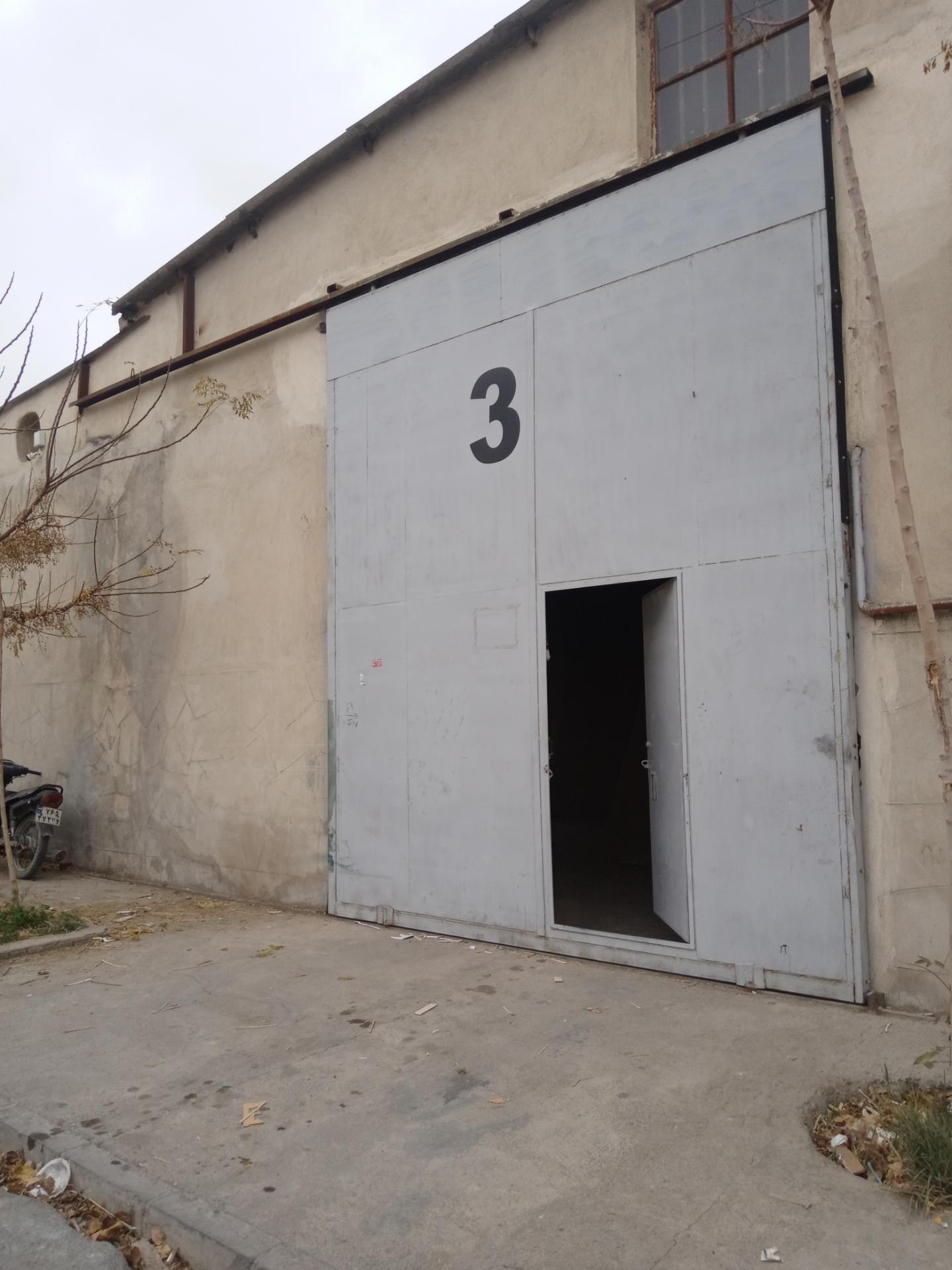 عکس کارتن نگین شرق