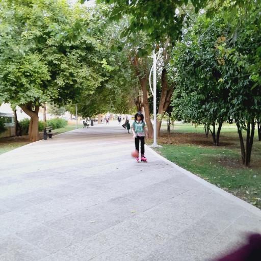 عکس پارک لاله