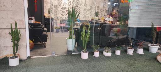 عکس املاک کوهپایه 