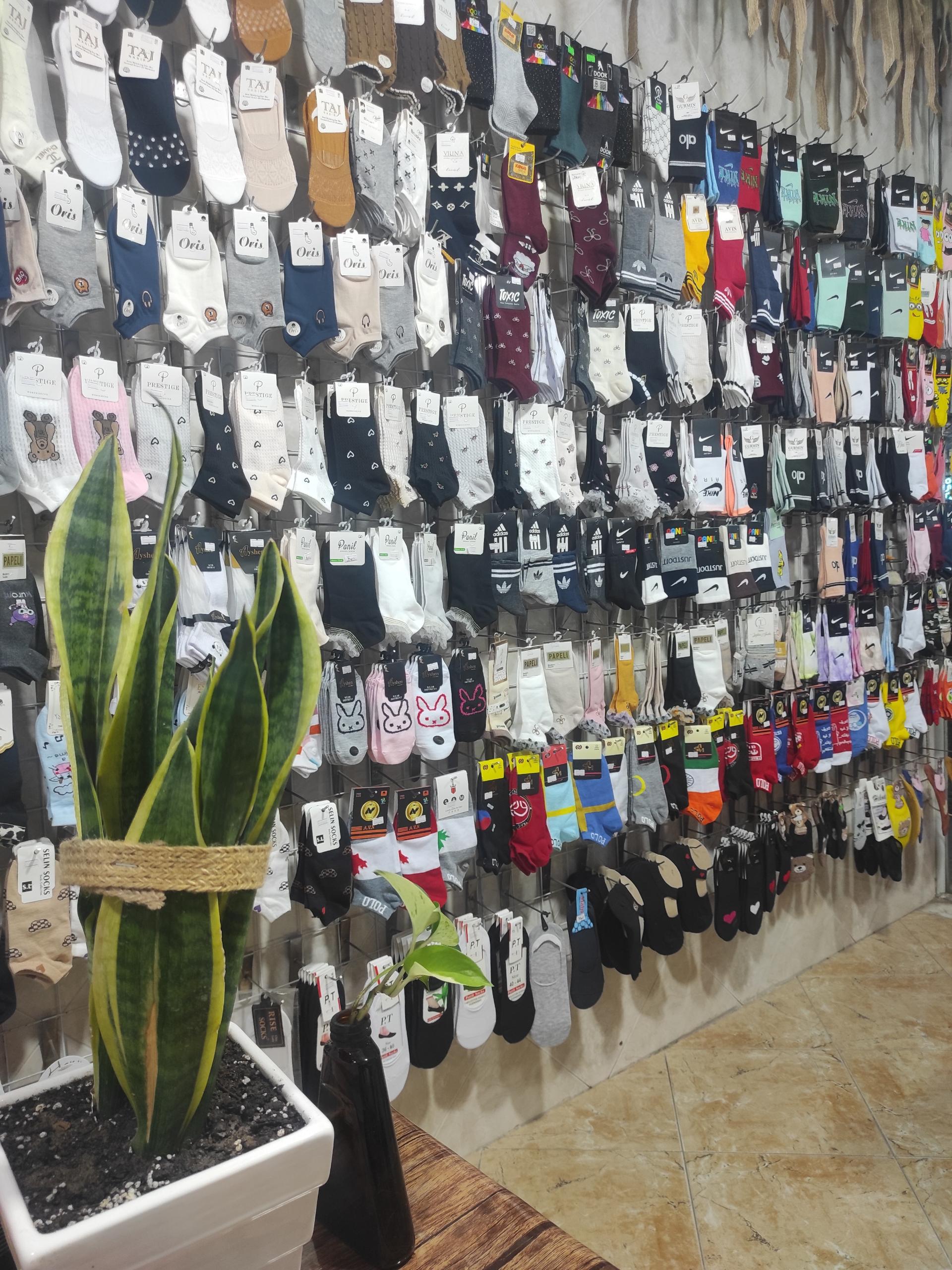 عکس جواب پاناز