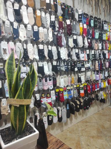 عکس جواب پاناز