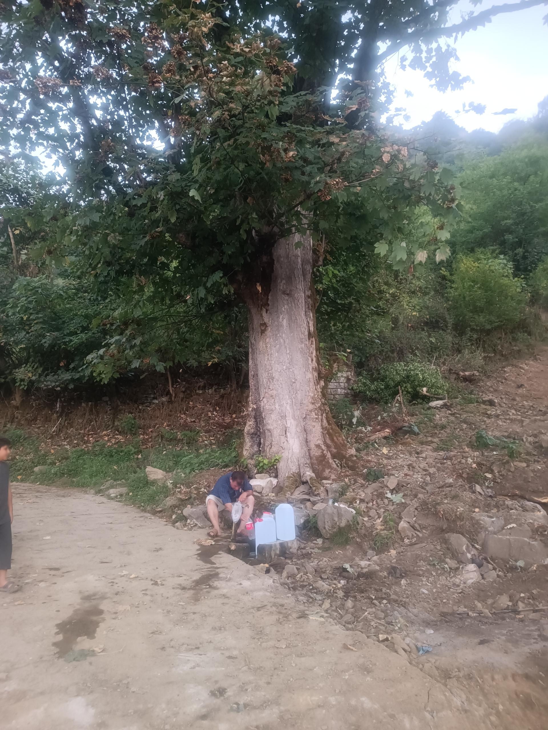 عکس چشمه آب 