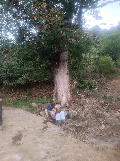 عکس چشمه آب 