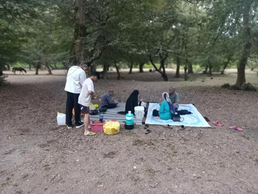 عکس جنگل بلیران