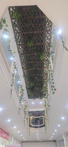 عکس پاساژ خادم زاده لوازم پرنده رکابدار