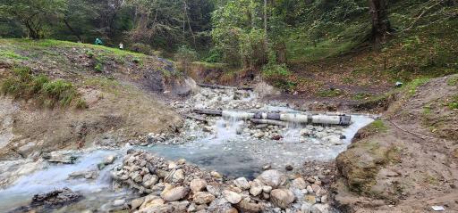 عکس جنگل بلیران