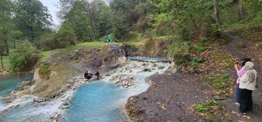 عکس جنگل بلیران