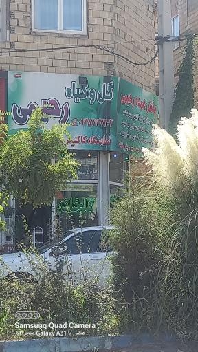 گل و گیاه رحیمی