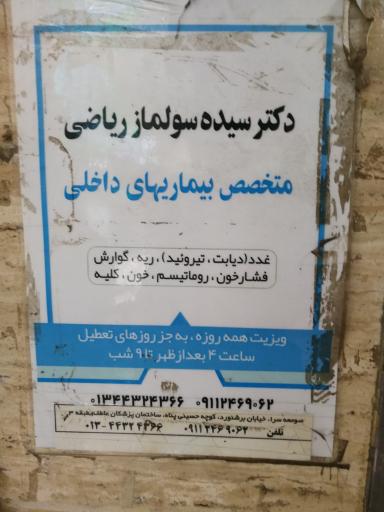 عکس دکتر سیده سولماز ریاضی متخصص داخلی