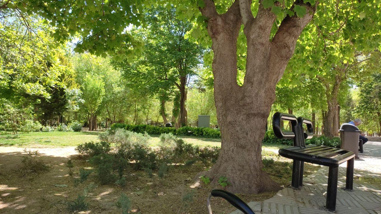 عکس پارک لاله